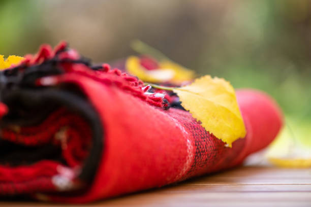 تصویر 4 از پتو چهار فصل با الیاف متعادل و تهویه مناسب